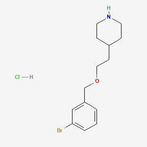 4-{2-[(3-Bromobenzyl)oxy]ethyl}piperidine hydrochloride - 1220038-82-3