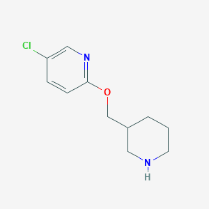 5-Chloro-2-(piperidin-3-ylmethoxy)pyridine - 1248481-95-9