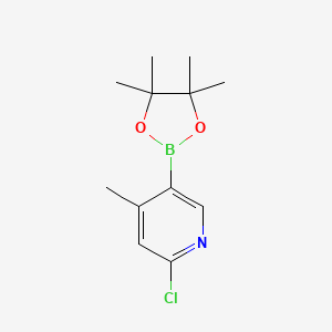 2-Chloro-4-methyl-5-(4,4,5,5-tetramethyl-1,3,2-dioxaborolan-2-YL)pyridine - 1382851-54-8