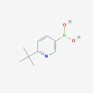 2-Tert-butyl-pyridine-5-boronic acid - 1174312-53-8