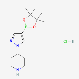 4-(4-(4,4,5,5-tetramethyl-1,3,2-dioxaborolan-2-yl)-1H-pyrazol-1-yl)piperidine hydrochloride - 1175273-62-7