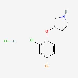 3-(4-Bromo-2-chlorophenoxy)pyrrolidine hydrochloride - 1220027-56-4