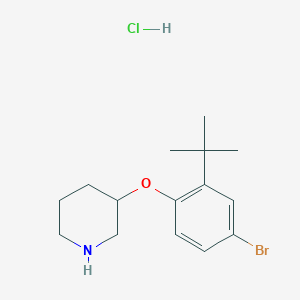 3-[4-Bromo-2-(tert-butyl)phenoxy]piperidine hydrochloride - 1220018-83-6