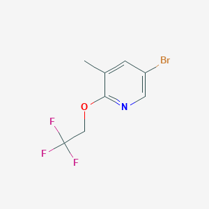 5-Bromo-3-methyl-2-(2,2,2-trifluoroethoxy)pyridine - 1187930-58-0