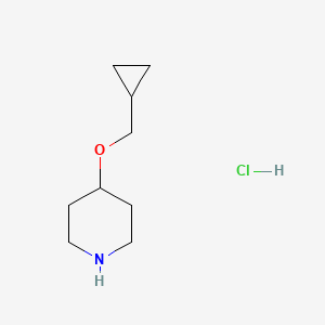 4-(Cyclopropylmethoxy)piperidine hydrochloride - 1050509-48-2