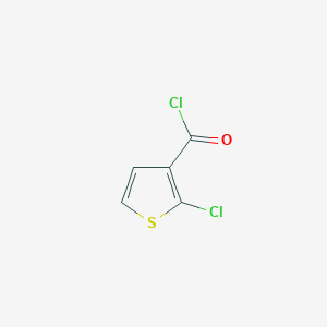 2-Chlorothiophene-3-carbonyl chloride - 332370-74-8