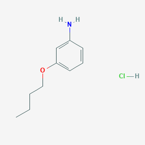 3-Butoxyaniline hydrochloride - 70743-76-9
