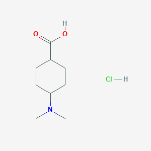 trans-4-(Dimethylamino)cyclohexanecarboxylic acid hydrochloride - 2305425-37-8