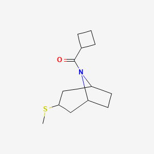 cyclobutyl((1R,5S)-3-(methylthio)-8-azabicyclo[3.2.1]octan-8-yl)methanone - 1705829-24-8