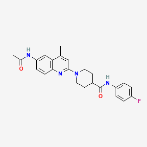 1-(6-acetamido-4-methylquinolin-2-yl)-N-(4-fluorophenyl)piperidine-4-carboxamide - 1029734-40-4