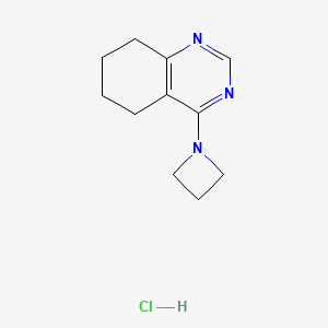 4-(Azetidin-1-yl)-5,6,7,8-tetrahydroquinazoline hydrochloride - 2175884-34-9