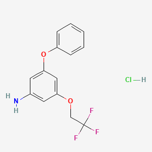 3-Phenoxy-5-(2,2,2-trifluoroethoxy)aniline hydrochloride - 1458615-96-7