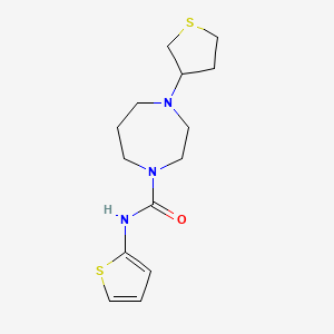4-(tetrahydrothiophen-3-yl)-N-(thiophen-2-yl)-1,4-diazepane-1-carboxamide - 2320212-61-9