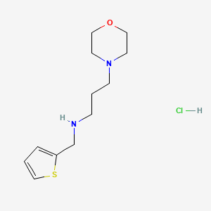 [3-(Morpholin-4-yl)propyl](thiophen-2-ylmethyl)amine hydrochloride - 1049742-40-6