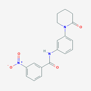 3-nitro-N-[3-(2-oxopiperidin-1-yl)phenyl]benzamide - 941919-01-3