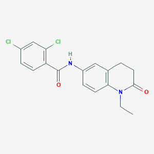 2,4-dichloro-N-(1-ethyl-2-oxo-1,2,3,4-tetrahydroquinolin-6-yl)benzamide - 922053-25-6