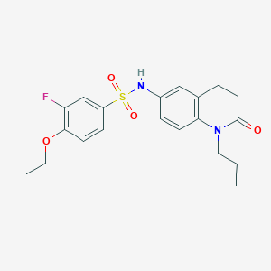 4-ethoxy-3-fluoro-N-(2-oxo-1-propyl-1,2,3,4-tetrahydroquinolin-6-yl)benzene-1-sulfonamide - 954686-03-4