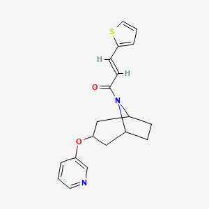 (E)-1-((1R,5S)-3-(pyridin-3-yloxy)-8-azabicyclo[3.2.1]octan-8-yl)-3-(thiophen-2-yl)prop-2-en-1-one - 2111913-32-5
