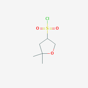 5,5-Dimethyloxolane-3-sulfonyl chloride - 1934812-10-8