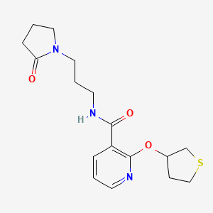 N-[3-(2-oxopyrrolidin-1-yl)propyl]-2-(thiolan-3-yloxy)pyridine-3-carboxamide - 2034390-28-6