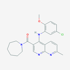 3-(azepane-1-carbonyl)-N-(5-chloro-2-methoxyphenyl)-7-methyl-1,8-naphthyridin-4-amine - 1251600-43-7