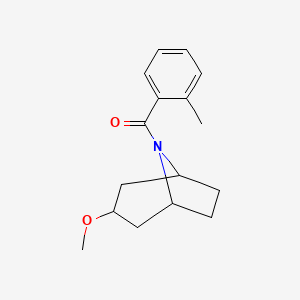 3-methoxy-8-(2-methylbenzoyl)-8-azabicyclo[3.2.1]octane - 2320146-96-9
