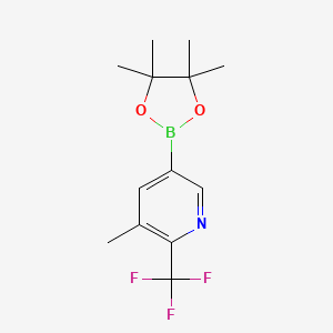 3-Methyl-2-trifluoromethylpyridine-5-boronic acid pinacol ester - 2121511-95-1