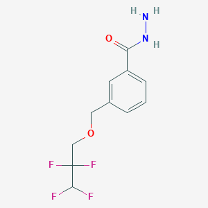 3-[(2,2,3,3-Tetrafluoropropoxy)methyl]benzohydrazide - 438473-63-3