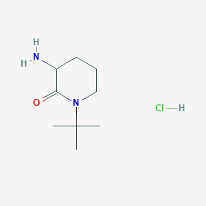 3-Amino-1-tert-butylpiperidin-2-one hydrochloride - 2173996-52-4