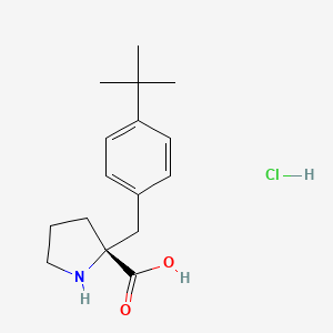 (R)-alpha-(4-tert-butyl-benzyl)-proline-HCl - 1049728-56-4