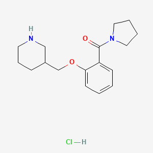 (2-(Piperidin-3-ylmethoxy)phenyl)(pyrrolidin-1-yl)methanone hydrochloride - 2309727-59-9