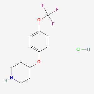 4-(4-(Trifluoromethoxy)phenoxy)piperidine hydrochloride - 1501963-64-9