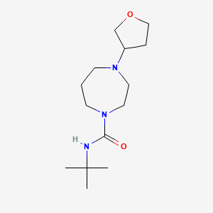 N-tert-butyl-4-(oxolan-3-yl)-1,4-diazepane-1-carboxamide - 2319807-33-3