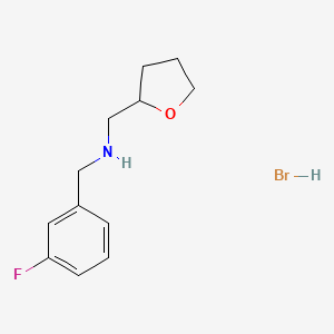 (3-Fluoro-benzyl)-(tetrahydro-furan-2-ylmethyl)-amine hydrobromide - 1135229-21-8