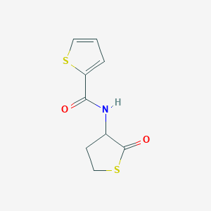 N-(2-oxothiolan-3-yl)thiophene-2-carboxamide - 57752-71-3