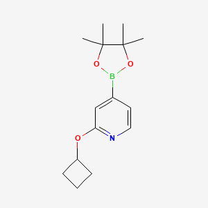2-Cyclobutoxy-4-(4,4,5,5-tetramethyl-1,3,2-dioxaborolan-2-yl)pyridine - 1346707-96-7
